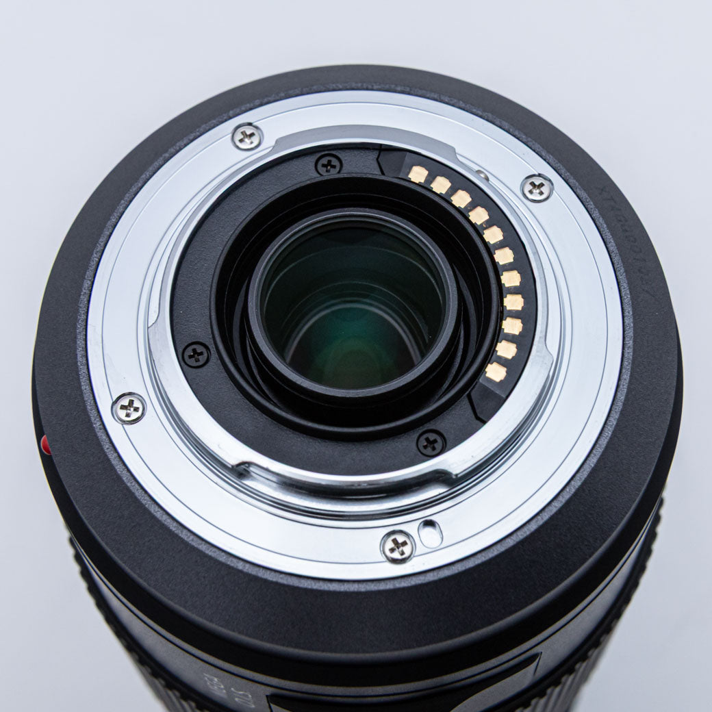 Panasonic LUMIX G VARIO 100-300mm F4.0-5.6 MEGA O.I.S. (H-FS100300)