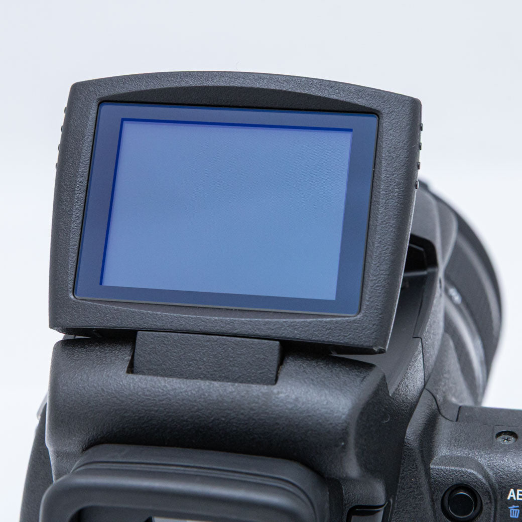 SONY DSC-R1