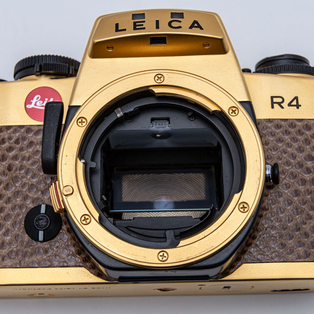 Leica R4 GOLD, SUMMILUX-R 50mm F1.4